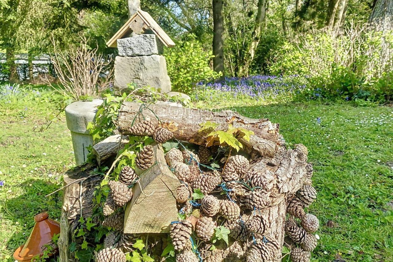 Bg32 - Mer & Bois De Cise Maison Individuelle Avec Grand Jardin Ault Eksteriør billede