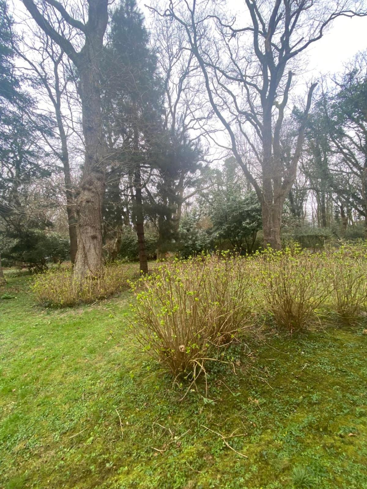 Bg32 - Mer & Bois De Cise Maison Individuelle Avec Grand Jardin Ault Eksteriør billede